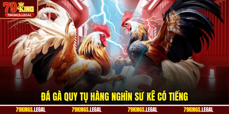 Đá gà quy tụ hàng nghìn sư kê có tiếng 